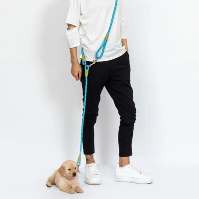 Laisse chien main libre ultra-légère avec bandoulière ajustable parfaite pour les longues promenades actives