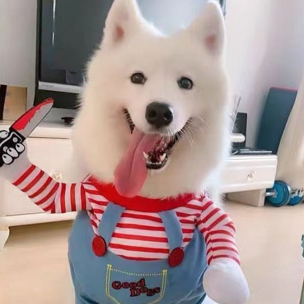Chien blanc portant un déguisement chien drôle avec perruque rousse et costume type Chucky