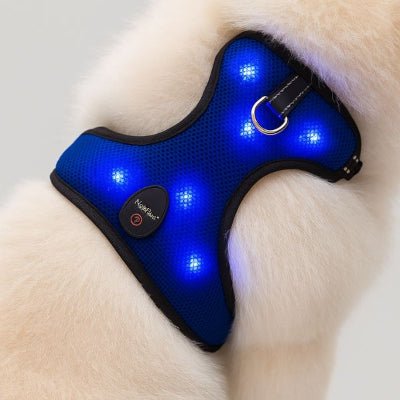 harnais chien bleu avec LED allumĂ©es gros plan â NightPupâą