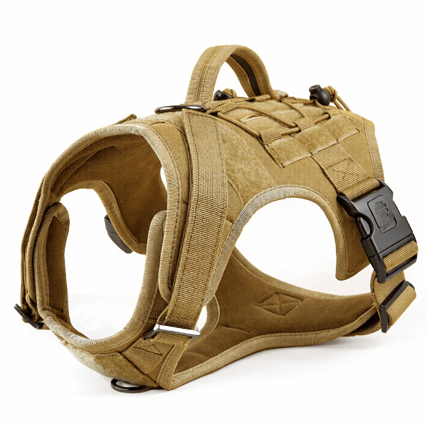 harnais tactique chien beige sable canisforce robuste reglable boucle metal renforcee