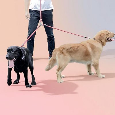 Laisse double pour chien | DuoFlexâą - Chien store