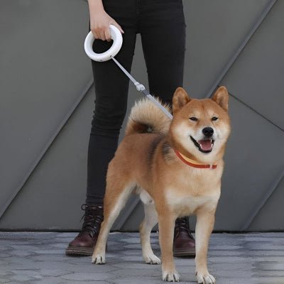 Laisse pour chien enrouleur | UFO™ - Chien store