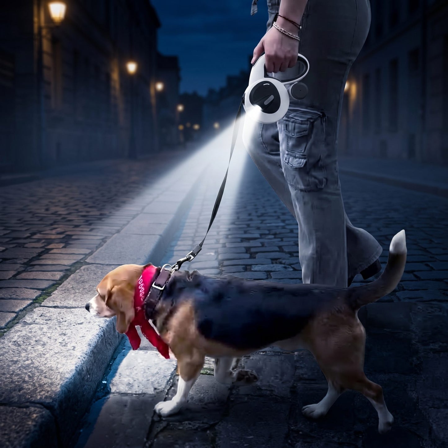 Beagle en balade nocturne éclairé par la lampe LED de la laisse enrouleur 5m pour chien IronTrek dans une rue pavée
