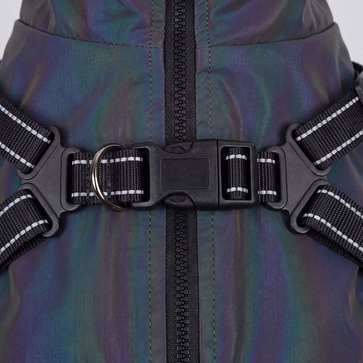 Macro de la boucle et des sangles à bandes réfléchissantes du harnais intégré au manteau irisé pour chien