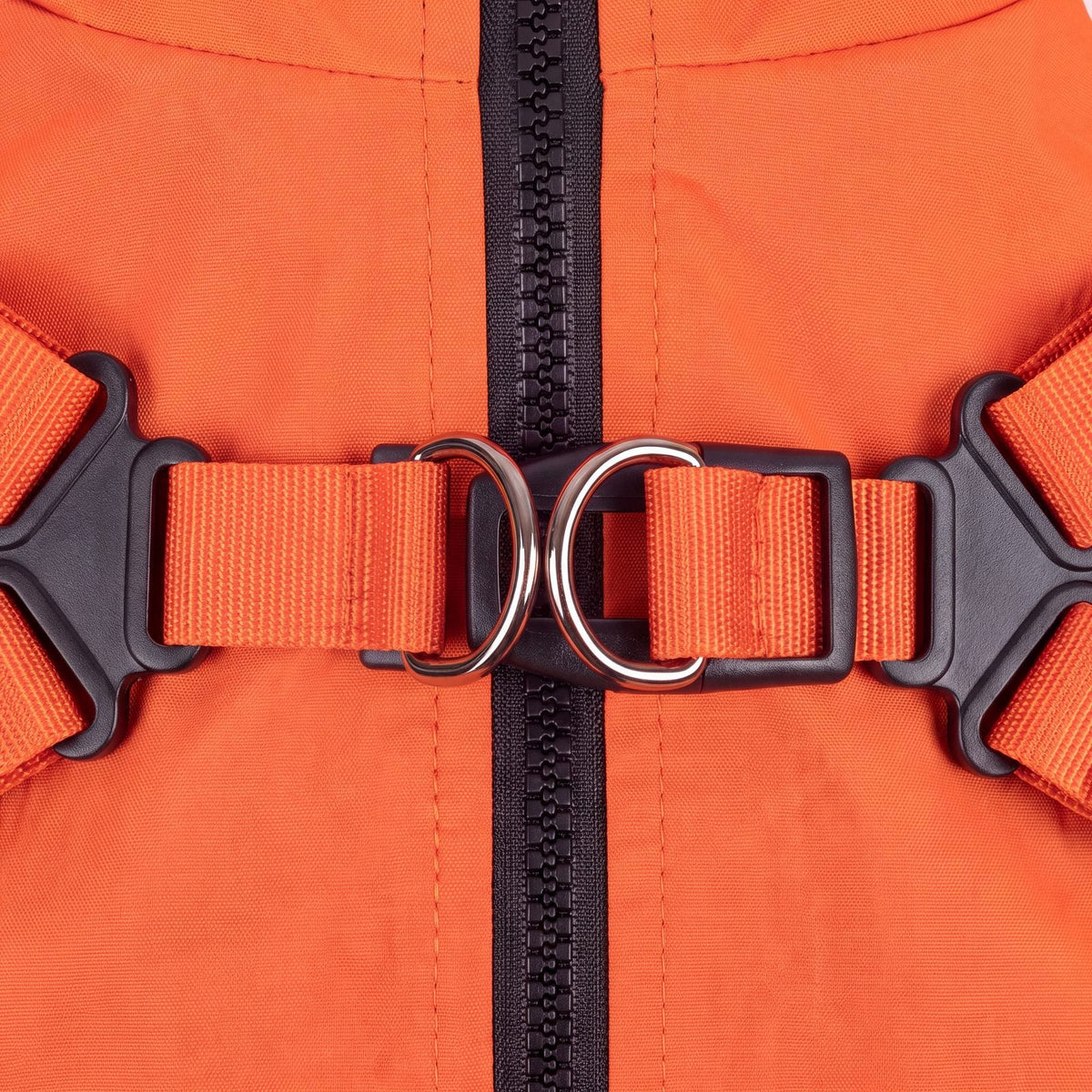 Gros plan sur la boucle du harnais intégré du manteau orange pour chien : deux anneaux métalliques, sangles réglables et fermeture zippée