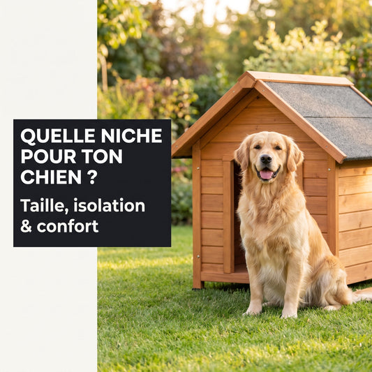 Comment choisir une niche extérieure adaptée à son chien