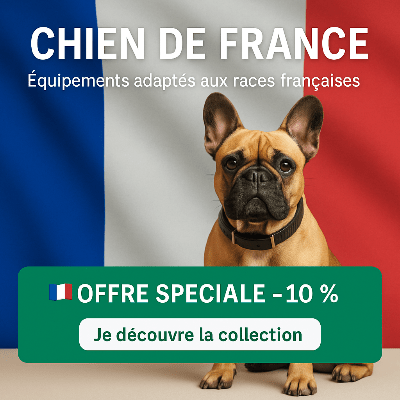 Chien de france : Origines, Caractères et Besoins de Nos Compagnons Nationaux - Chien store