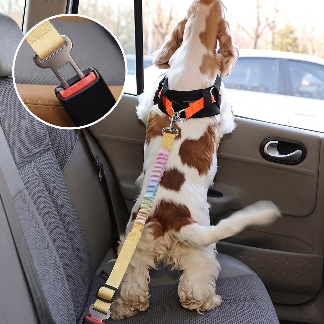 Chien en voiture attaché avec la ceinture de sécurité SafeRide