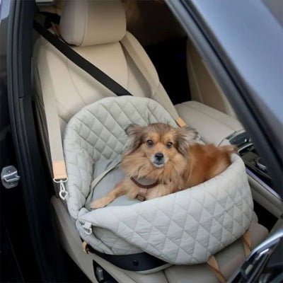 Chien blotti et rassuré dans un sac de transport confortable pendant les feux d'artifice