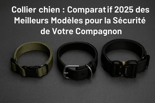 Collier chien : Comparatif 2025 des Meilleurs Modèles pour la Sécurité de Votre Compagnon - Chien store