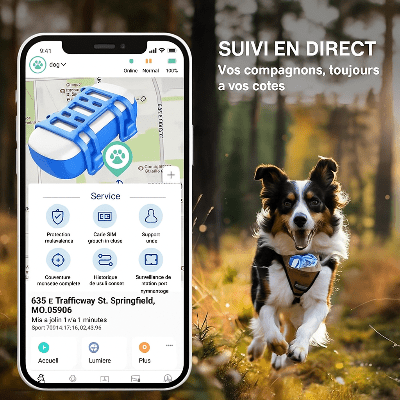 Collier GPS TrackerPets et collier anti-puce PuraPet pour chien