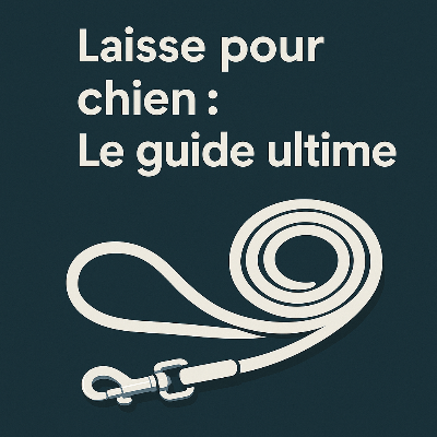 laisse pour chien assure confort sécurité et contrôle lors des promenades