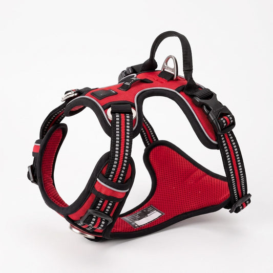 Harnais ZenWalk pour promenade calme et sans tension