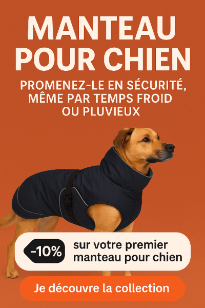 manteau pour chien pour une promenade en sécurité - Chien store