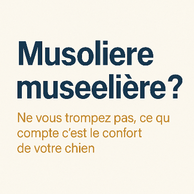 musoliere ou museliere confort chien choix responsable