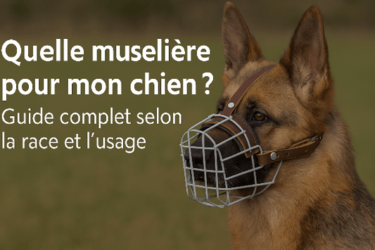 Quelle muselière pour mon chien ? Guide complet selon la race et l’usage - Chien store