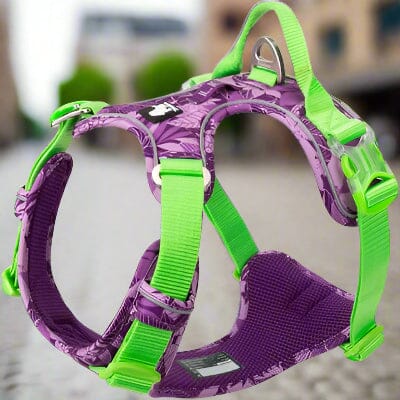 Harnais – step-in boucles rapides – enfilage facile PullFree™- Chien store