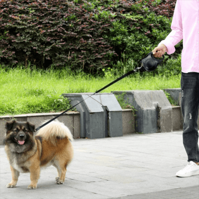 laisse chien avec freinage rapide et verrouillage, contro le gros chien en securite Nox™