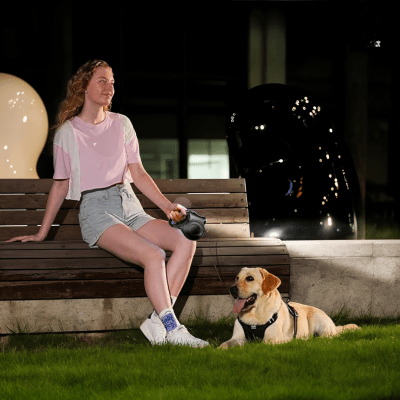 laisse chien retractable 5 metres avec sangle robuste pour controle au quotidien Nox™