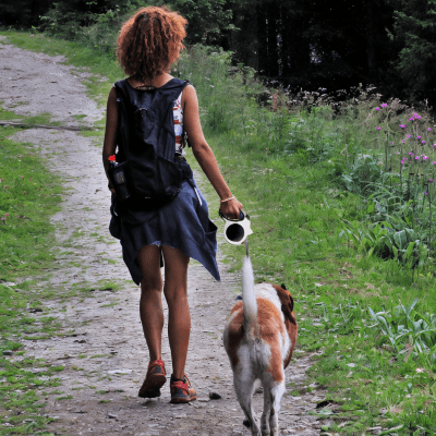 laisse chien enrouleur avec option led integree éclairage frontal 320 lumen Nox™