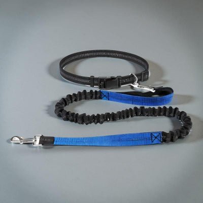 laisse mains libres pour chien elastique et solide avec poignée bleue PawFree