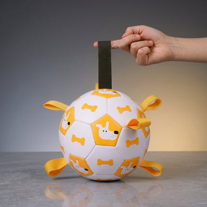 Balle pour chien Dinosaure violet et orange - corgi qui court avec la balle