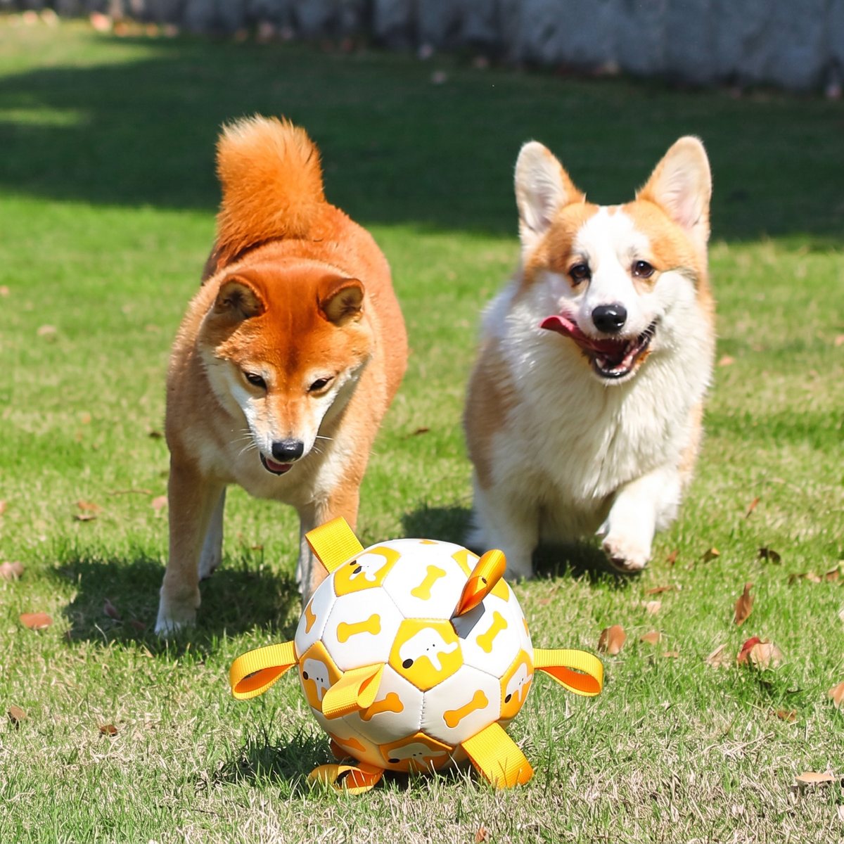 Balle pour chien Empreinte blanc et orange - corgi qui saute pour l'attraper
