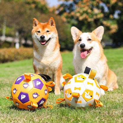Balle pour chien Empreinte et Dinosaure - corgi et shiba inu assis avec les deux coloris