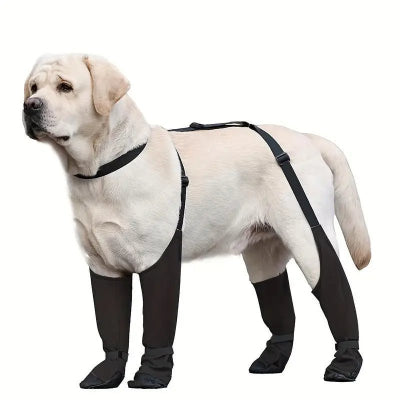 bottes-pour-chien-pawlux-taille-grand