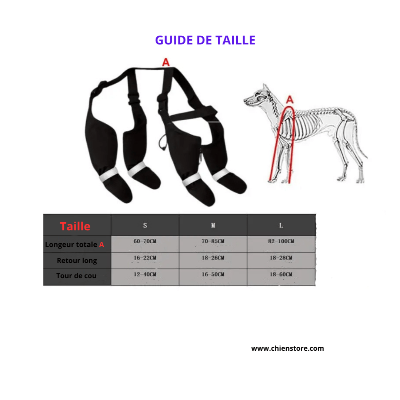 bottes-pour-chien-pawlux-taille