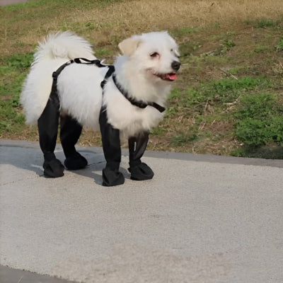 bottes-pour-chien-talle-moyen