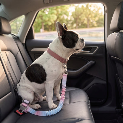 Ceinture de sécurité voiture pour chien SafeRide rose-bleu avec un bouledogue français