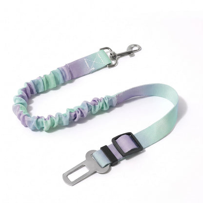 Ceinture de sécurité voiture pour chien SafeRide vert-violet - photo produit fond blanc