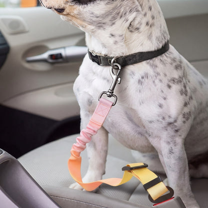 Ceinture de sécurité voiture pour chien SafeRide rose-jaune avec un dalmatien
