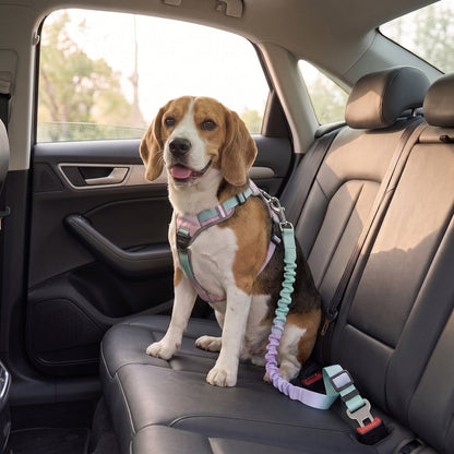 Ceinture de sécurité voiture pour chien SafeRide vert-violet avec un beagle