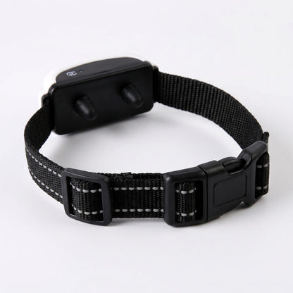 Vue de dos du collier récepteur de la clôture anti-fugue sans fil chien montrant les embouts de contact