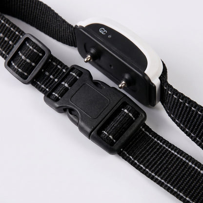 Vue de dos rapprochée du collier récepteur de la clôture anti-fugue sans fil chien montrant les embouts de contact