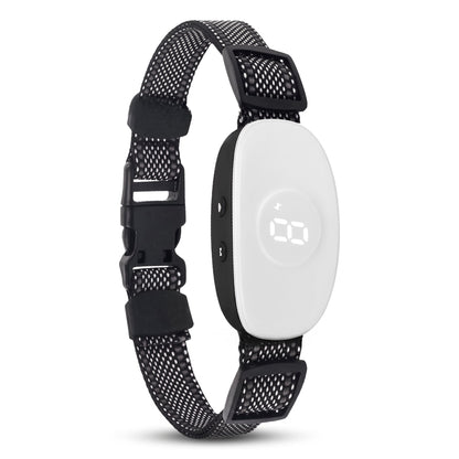 collier anti-aboiement chien vibration blanc avec ecran digital, vue produit sur fond blanc