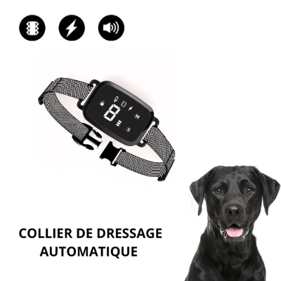 Collier anti aboiement pour chien SmartCollar™ - Chien store