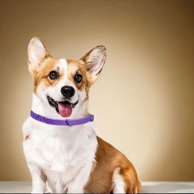 Collier anti puce chien - PuraPet™ - Chien store
