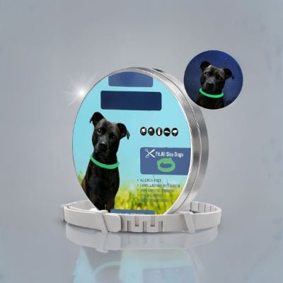 Collier anti puce chien - PuraPet™ - Chien store