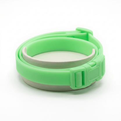 collier anti puce chien naturel vert phosphorescent produit seul sur fond blanc