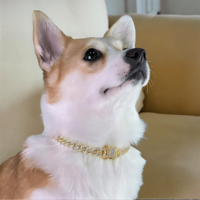 Collier chaine chien doré maillons cubains larges acier inoxydable solide- Cuba™ - Chien store