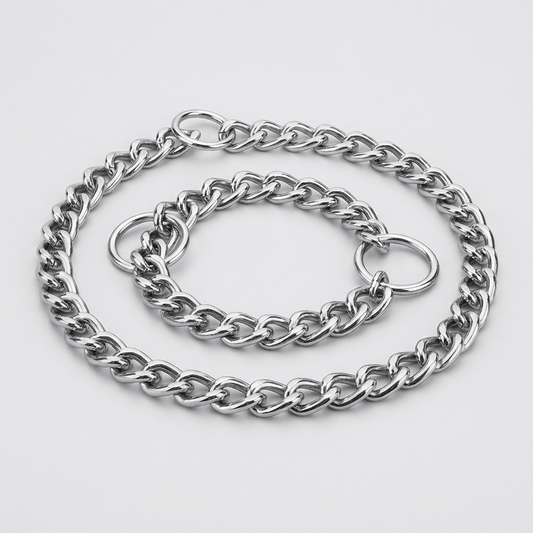 collier chaine chien anti-traction argent produit seul sur fond neutre