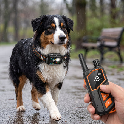 Main tenant la télécommande du collier chien 2 en 1, écran LEVEL allumé, chien en arrière-plan