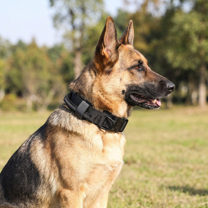 collier chien noir tactique porté par un berger allemand assis, vue de profil ControlMax