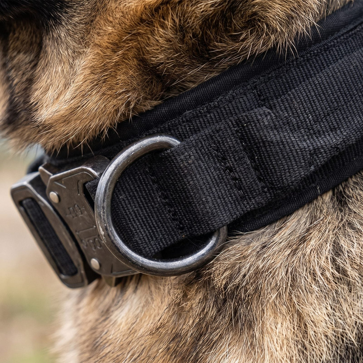 gros plan boucle métallique à dégagement rapide du collier chien kaki ControlMax