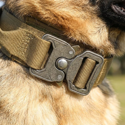collier chien tactique noir ControlMax, vue produit seul