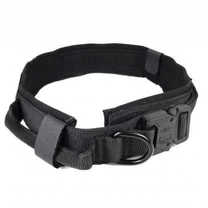 gros plan poignée rembourrée du collier chien noir ControlMax