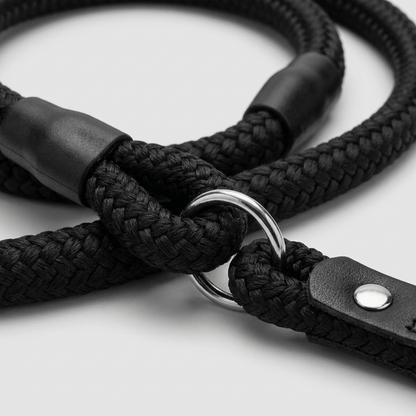 collier chien en corde d'escalade noir gros plan texture corde tressee et anneau metallique